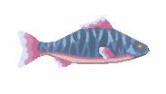 Briny Linus